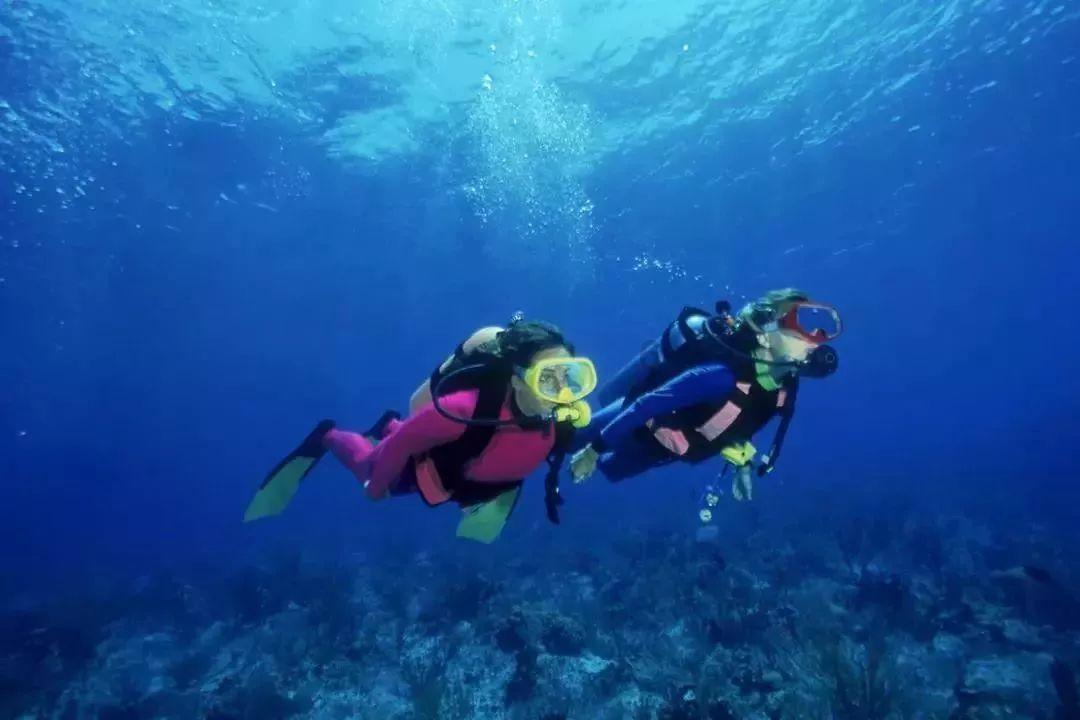 迈过9万亿的山东,需要一个怎样的青岛?